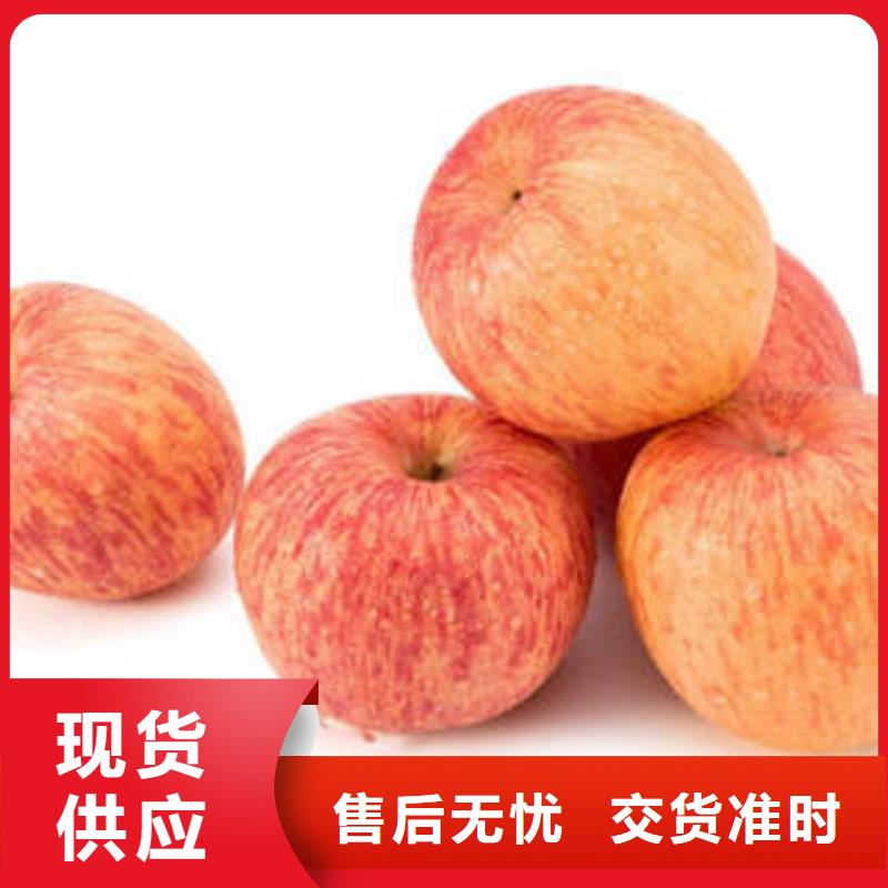 红富士苹果,苹果种植基地货到付款