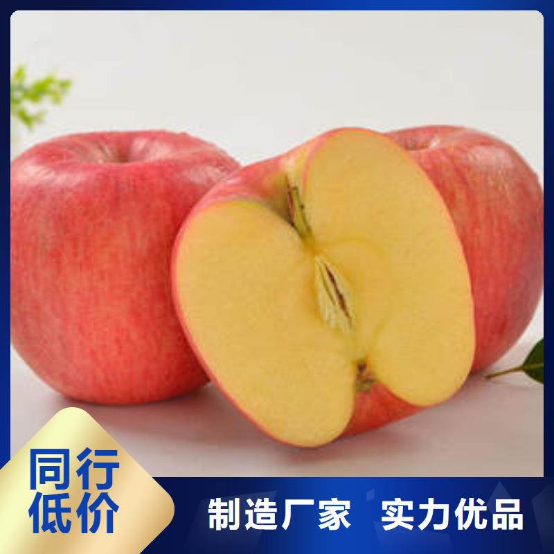 红富士苹果,苹果种植基地货到付款
