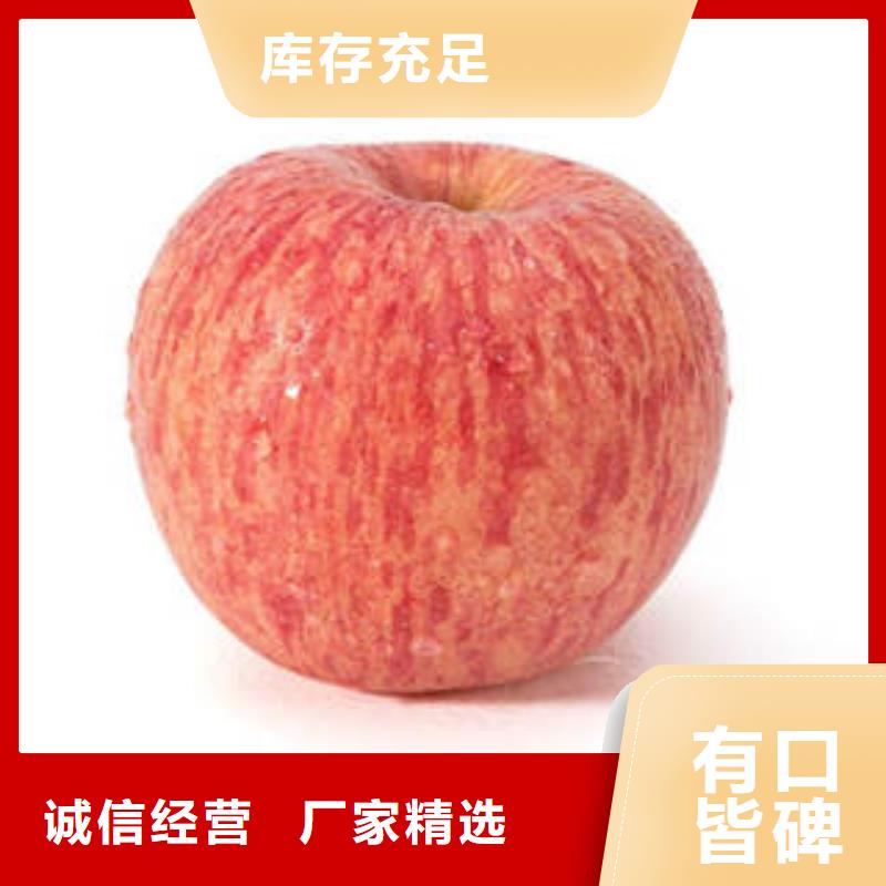 红富士苹果,苹果种植基地货到付款