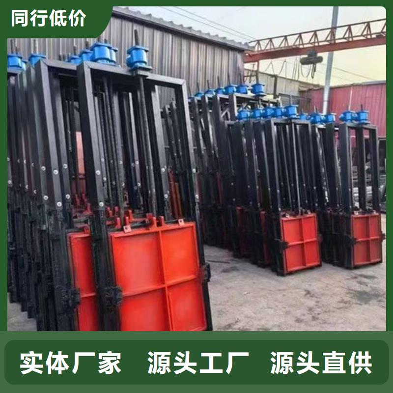 铸铁镶铜闸门工厂定制