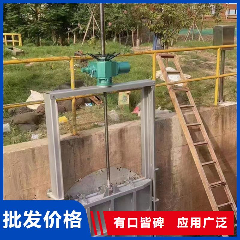 铸铁镶铜闸门生产厂家