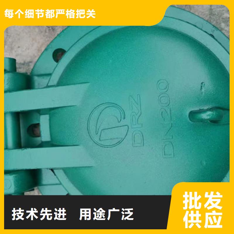 拍门-不锈钢拍门种类丰富