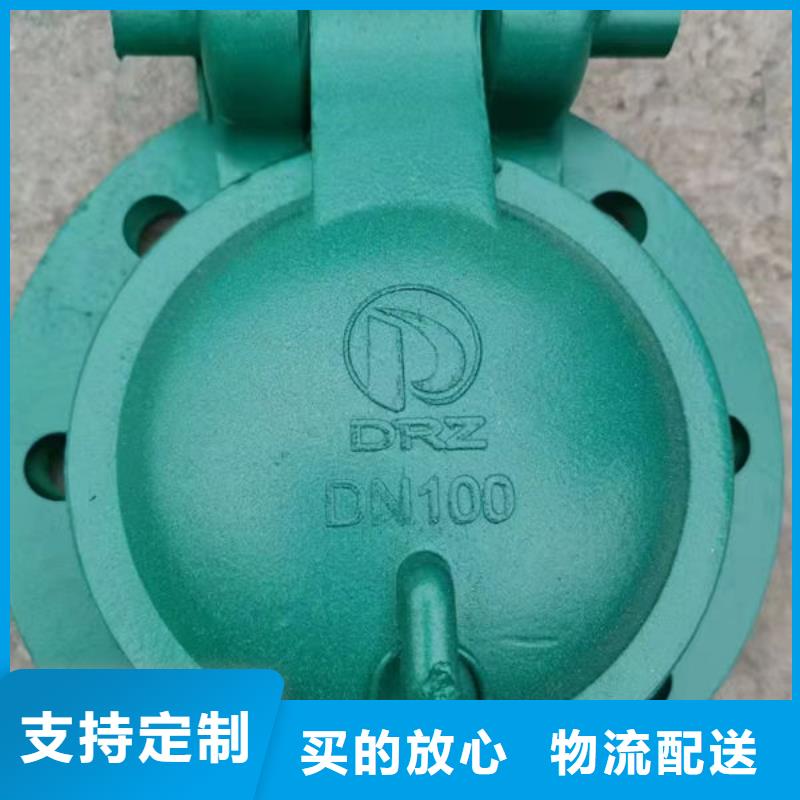 拍门不锈钢拍门厂家直销售后完善