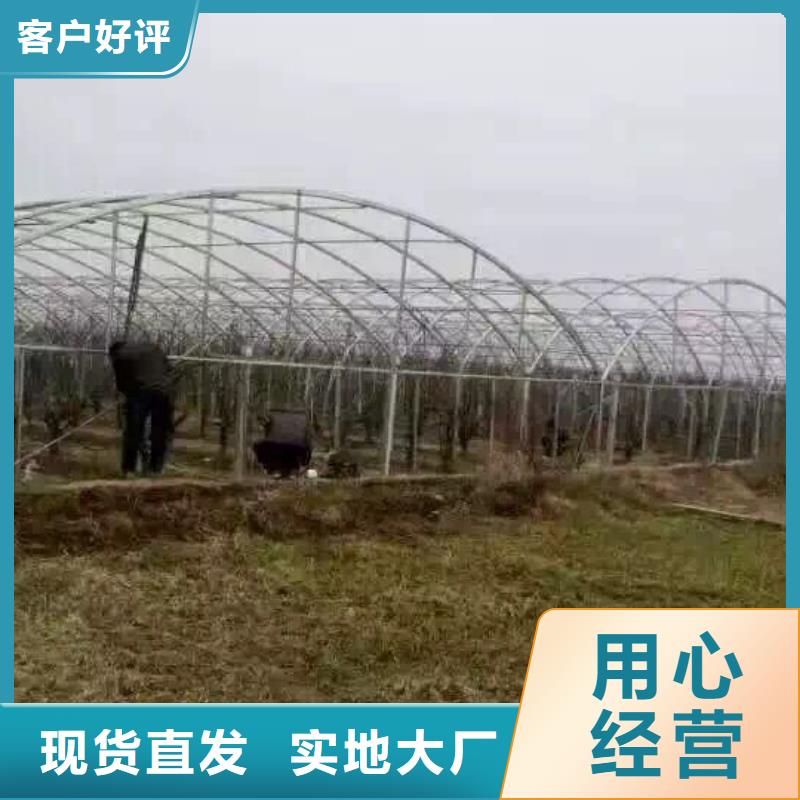 钢管镀锌方管工厂批发
