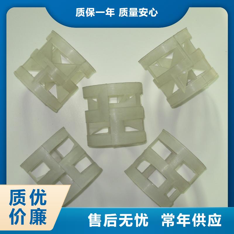 鲍尔环沸石同行低价