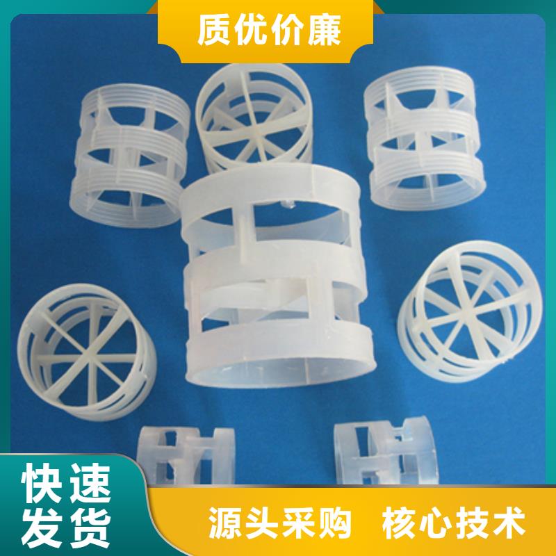 鲍尔环沸石同行低价