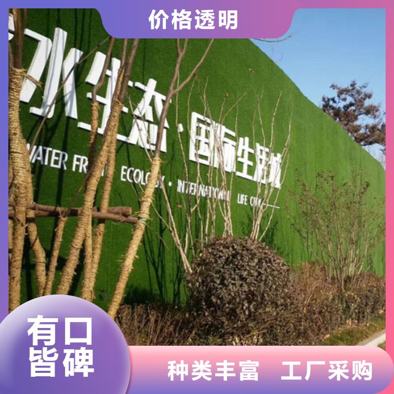 围挡草坪人造草坪围挡实力雄厚品质保障