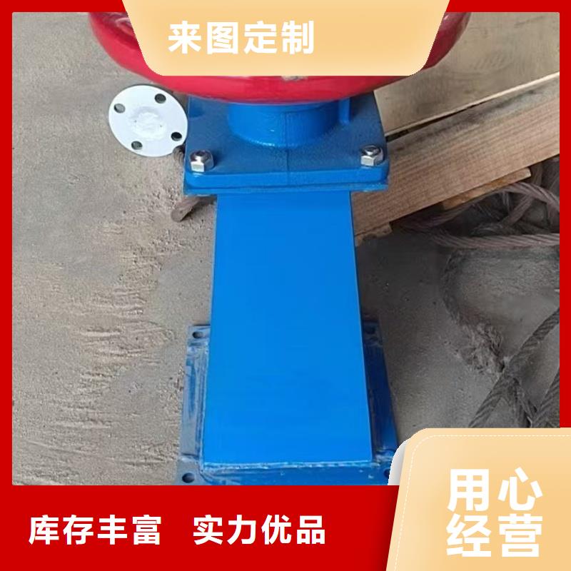 启闭机-QLSD-30KN手电两用启闭机实力厂商