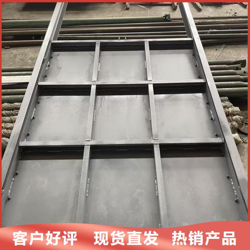 钢闸门整体直式电液推杆细节严格凸显品质