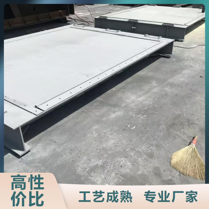 钢制闸门    生产厂商
