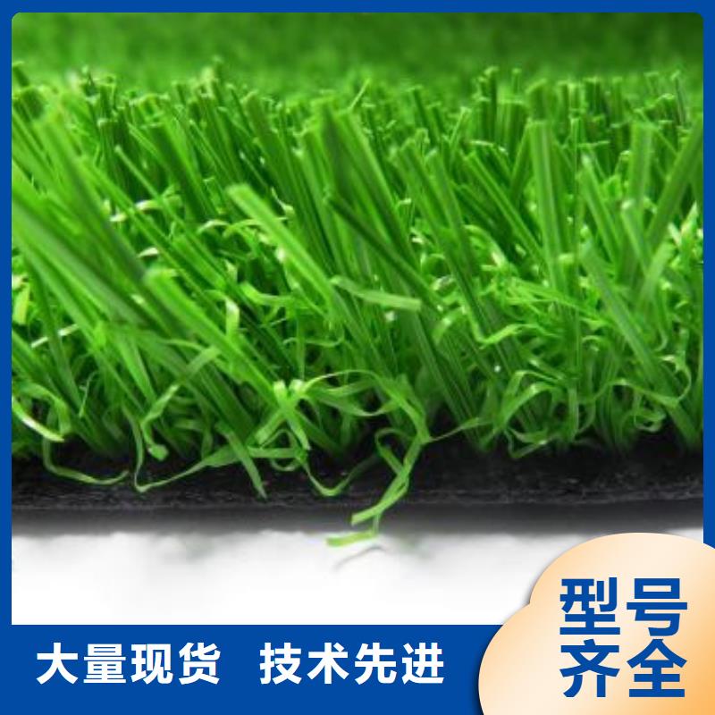 人造草坪塑胶跑道实力派厂家