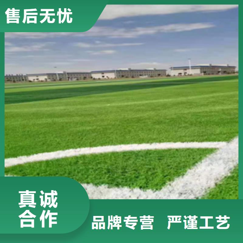 人造草坪塑胶跑道实力派厂家
