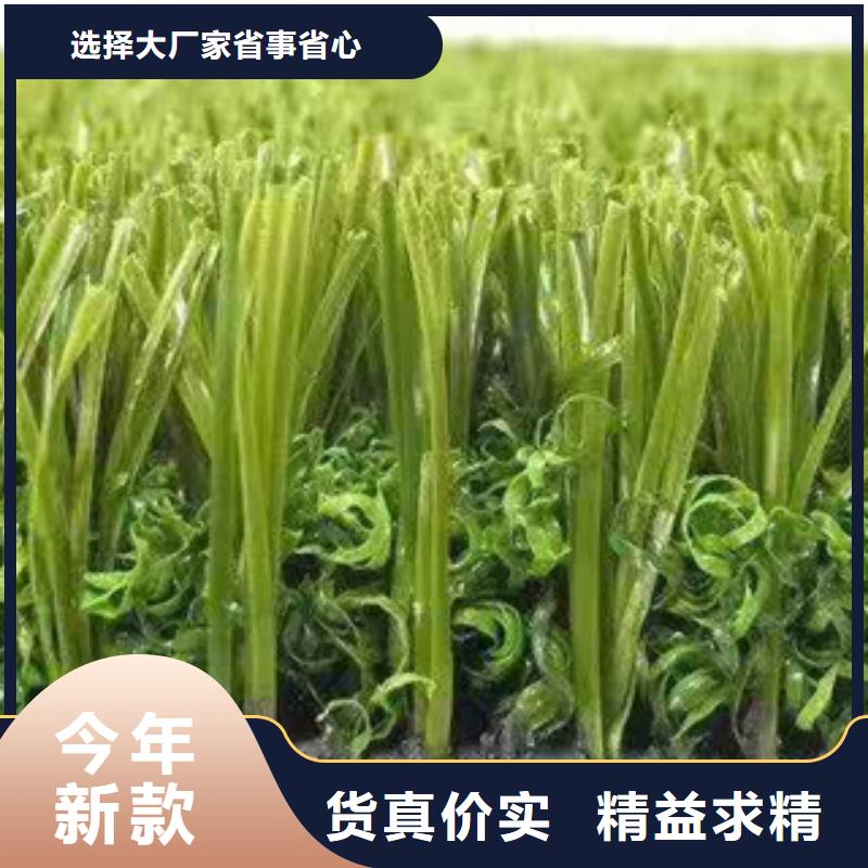 人造草坪塑胶跑道实力派厂家
