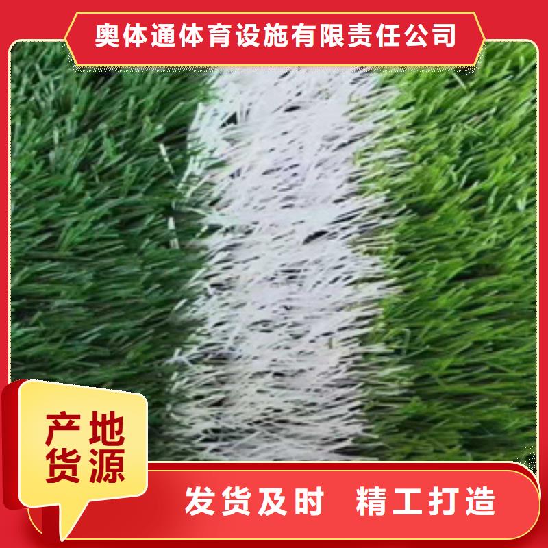 人造草坪塑胶跑道实力派厂家