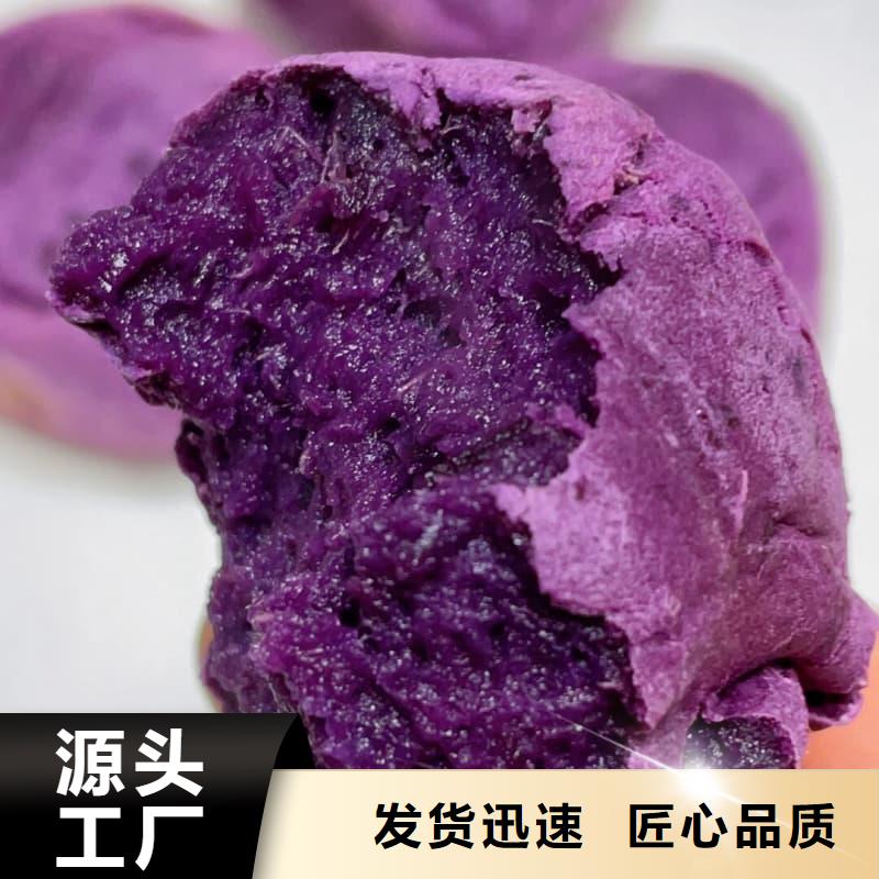 速冻紫薯泥块好口碑