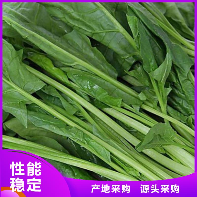 菠菜生粉种植基地