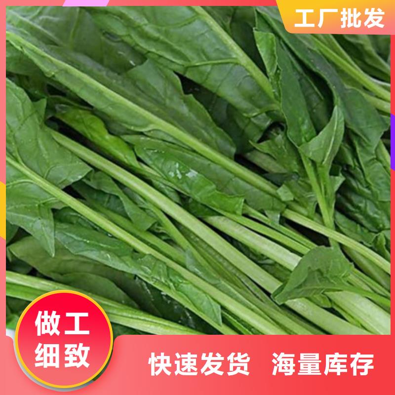 五指山市菠菜粉质量放心