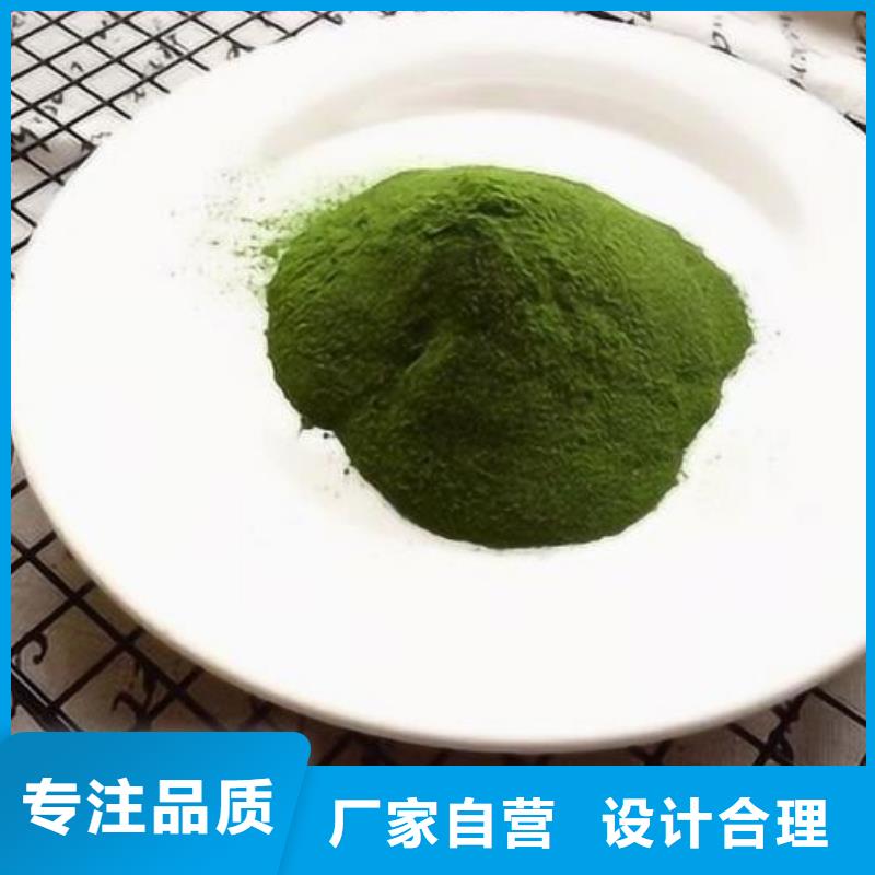 菠菜生粉价格优