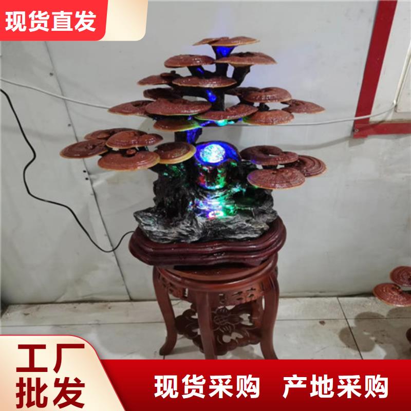 【灵芝孢子粉赤灵芝专心专注专业】