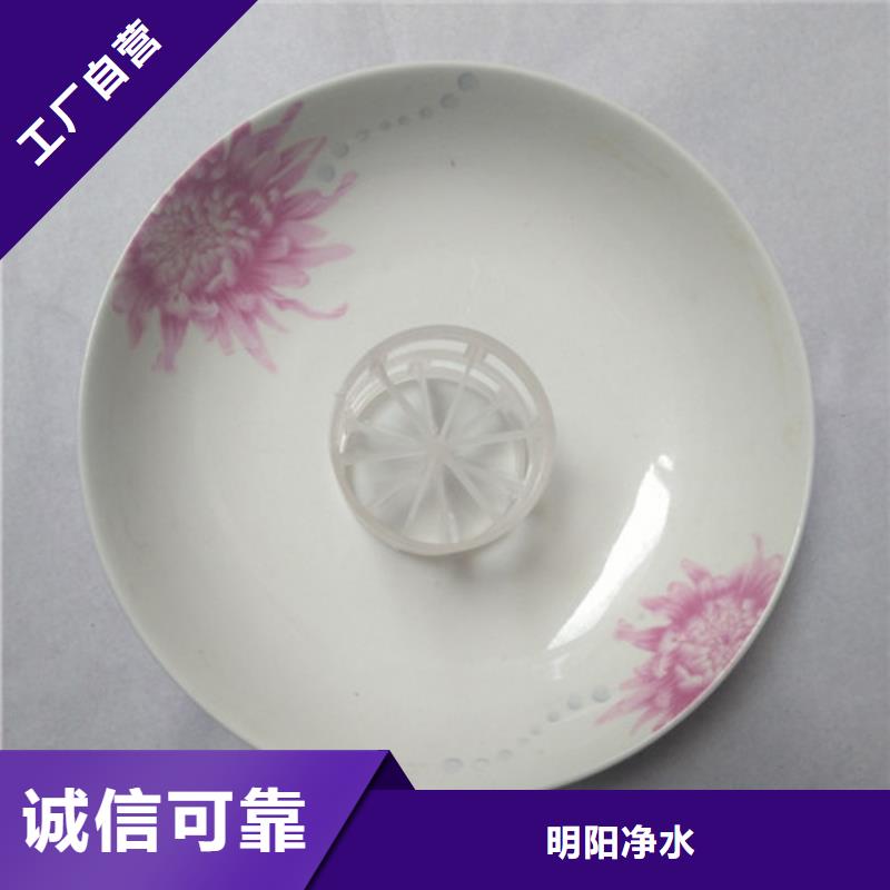 鲍尔环填料【聚丙烯酰胺】加工定制