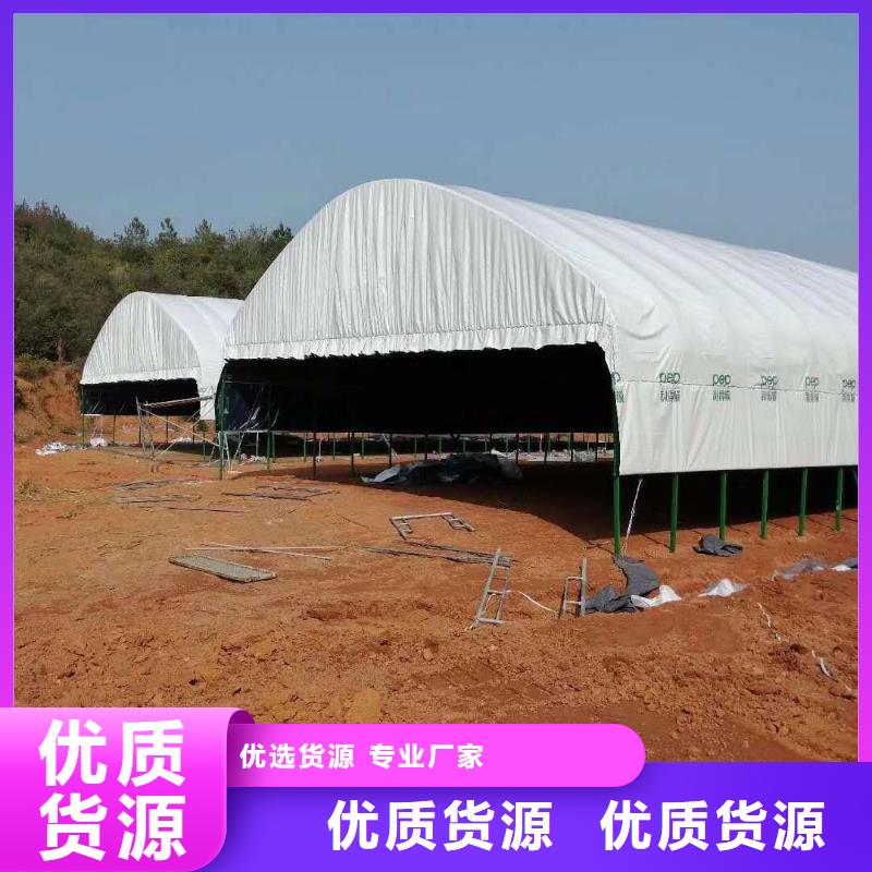 【大棚管镀锌大棚管精工细作品质优良】