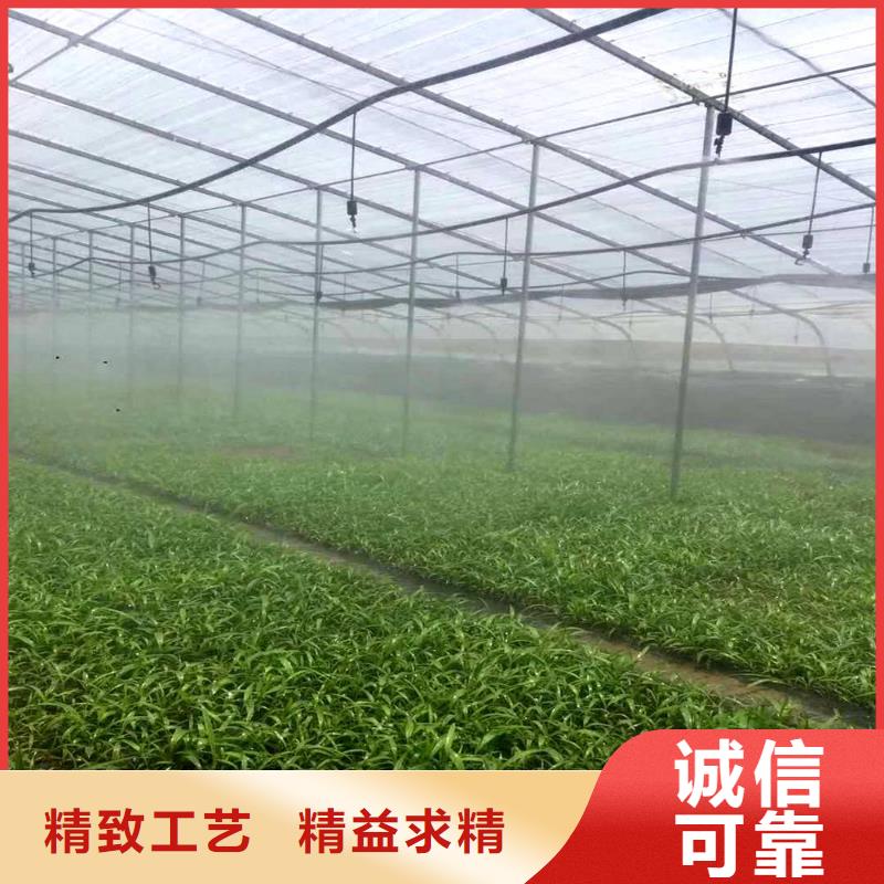 大棚管智能温室大棚高品质诚信厂家