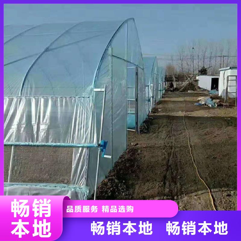 大棚管智能温室大棚高品质诚信厂家