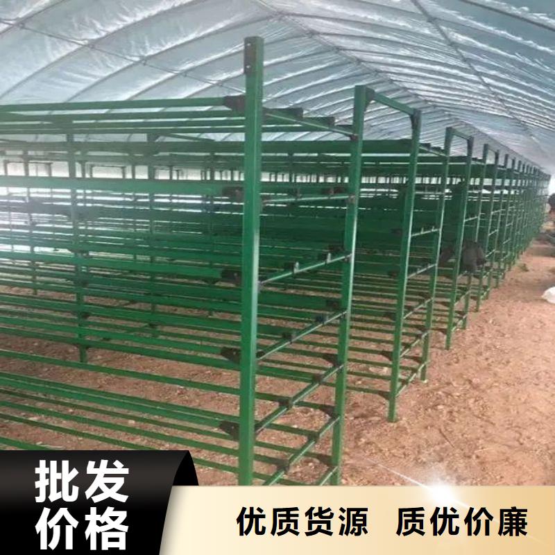 大棚管2智能温室大棚精心打造