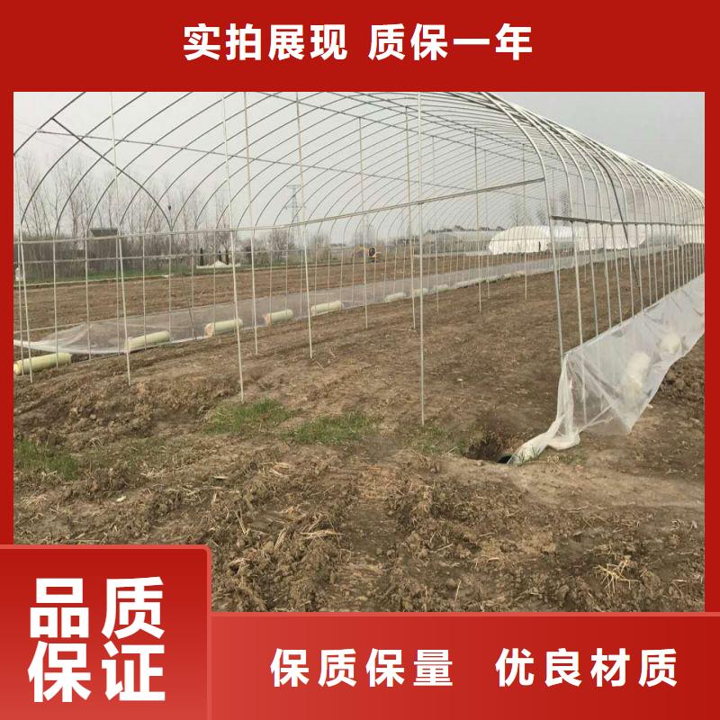 大棚管2_
蔬菜温室大棚管厂家技术完善