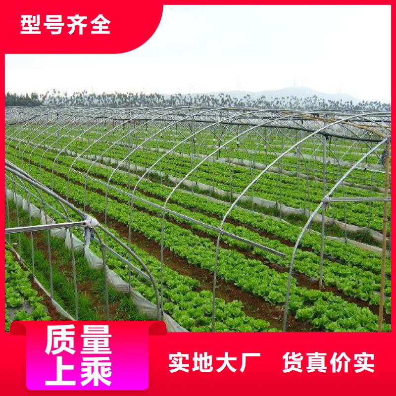 大棚管-镀锌大棚管质量上乘