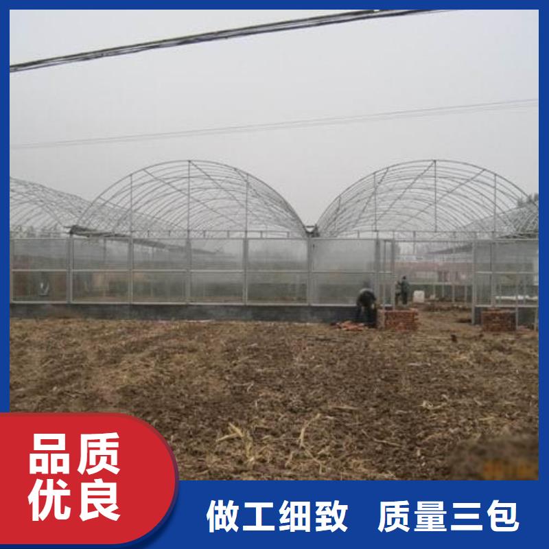 【大棚管,温室大棚管现货实拍】