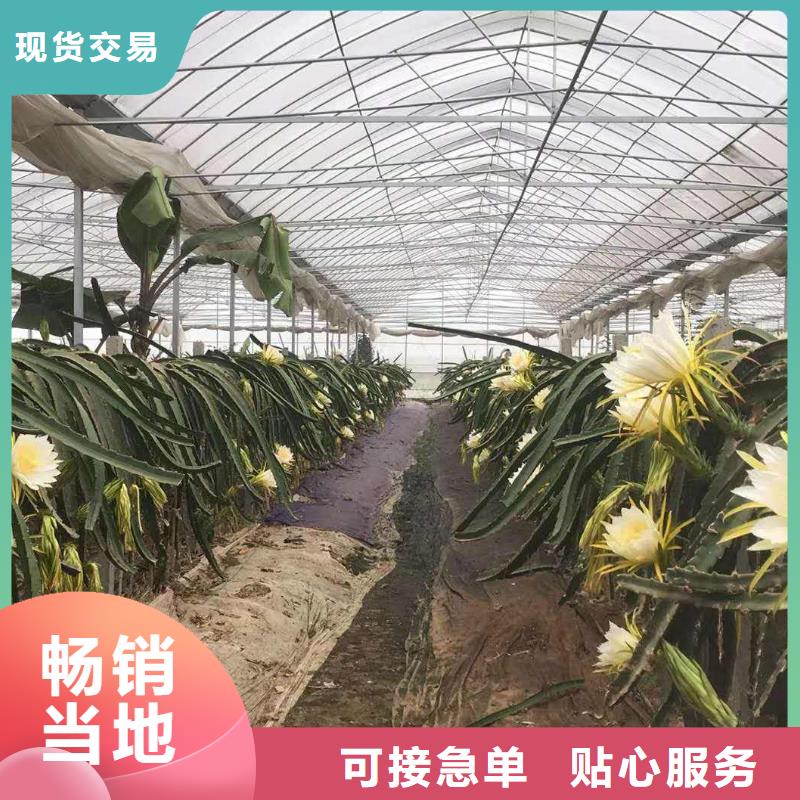 大棚管,椭圆管温室大棚品质有保障