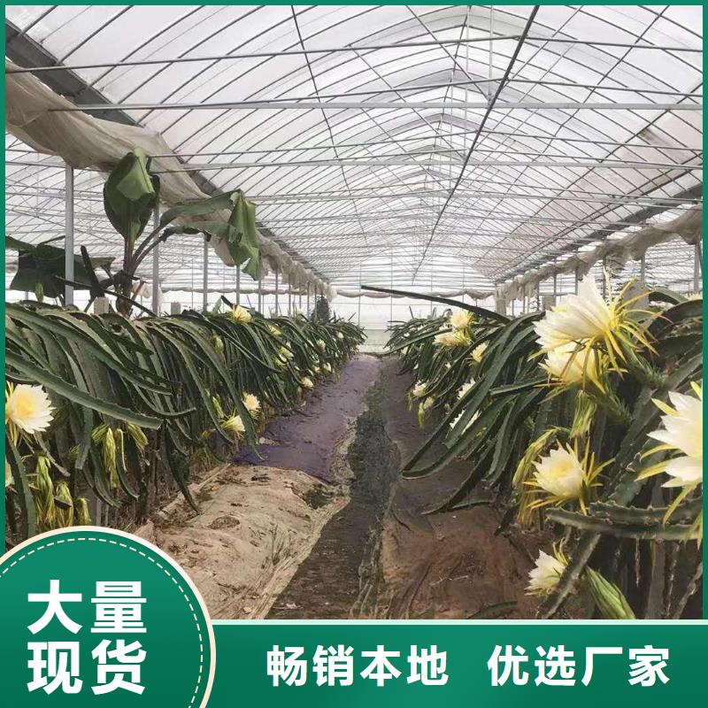 【大棚管,温室大棚管现货实拍】