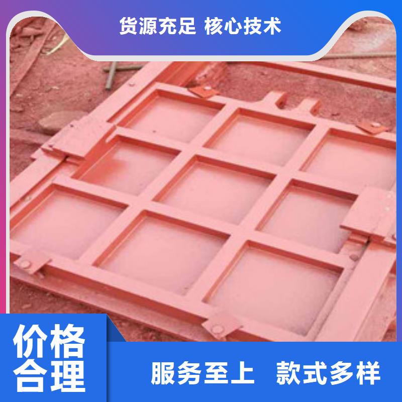铸铁闸门-钢闸门符合行业标准