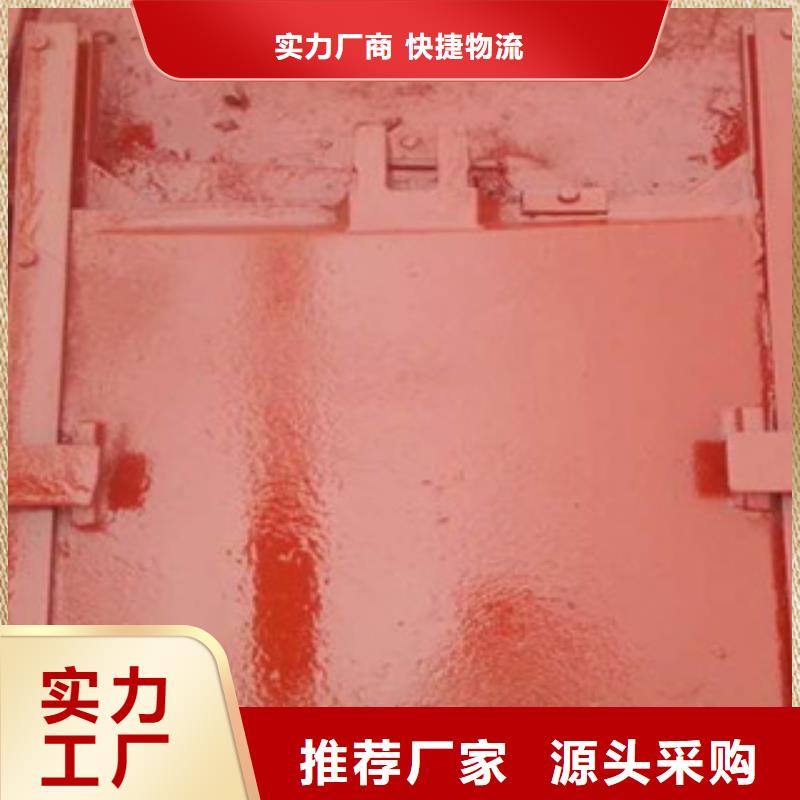 铸铁闸门卷扬式启闭机丰富的行业经验