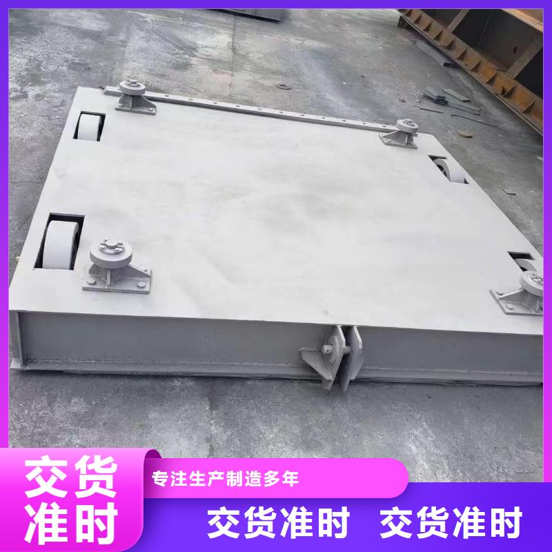 电动闸门质量优异