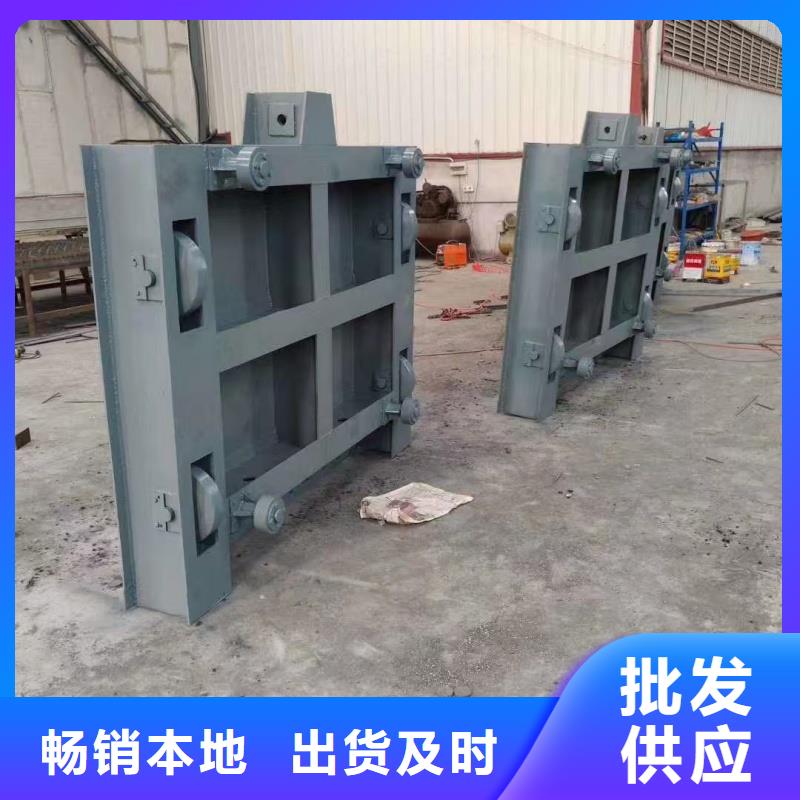 电动闸门质量优异