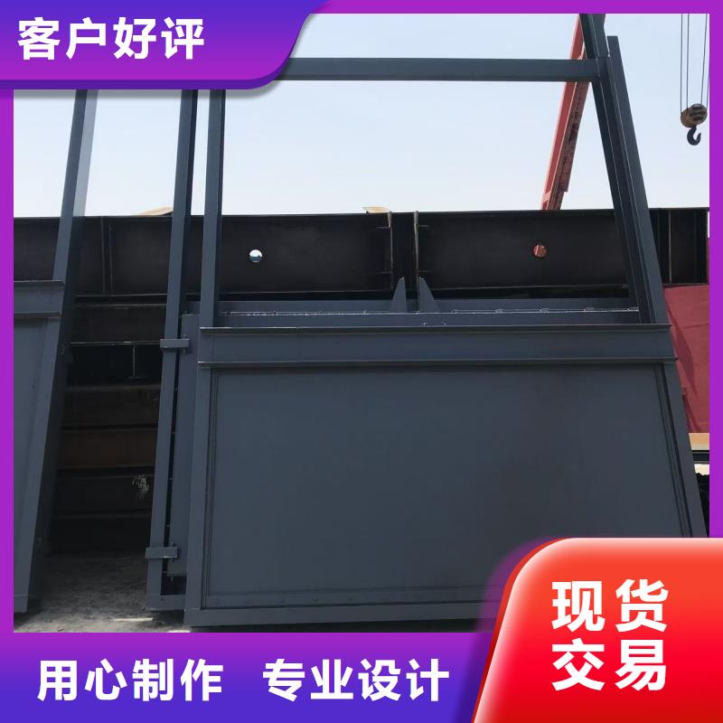 平面钢闸门种类