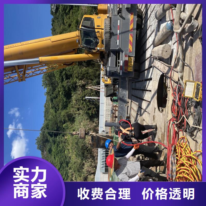 电厂闸门水下维修检查公司市里就有「苏龙潜水队」