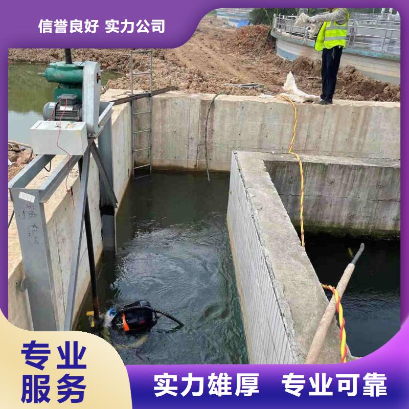 桥桩桥墩水下检测录像公司欢迎咨询
「苏龙潜水队」