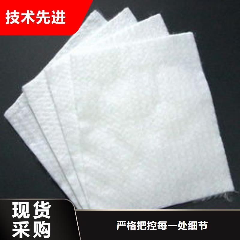 土工布双向塑料土工格栅为您精心挑选