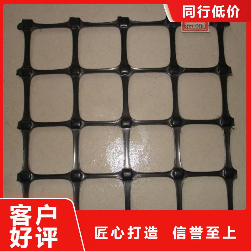 双向塑料土工格栅长丝土工布多行业适用