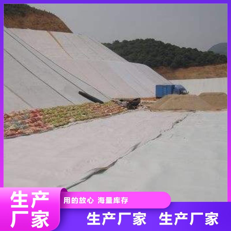 【复合土工膜膨润土防水毯符合标准】