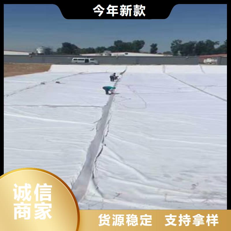 【复合土工膜膨润土防水毯符合标准】