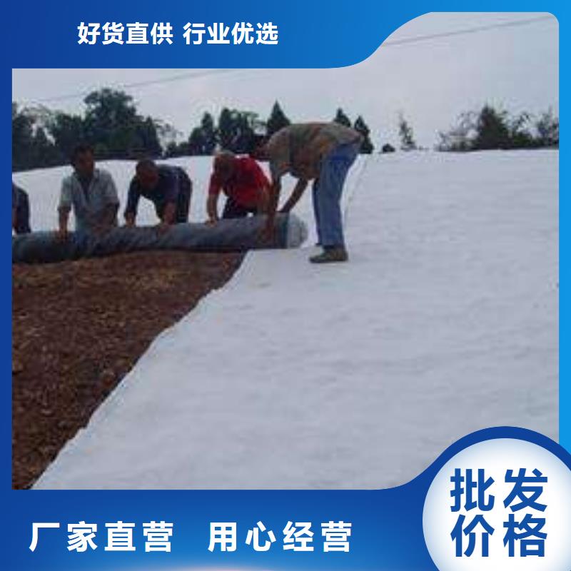 膨润土防水毯,双向拉伸塑料格栅厂家