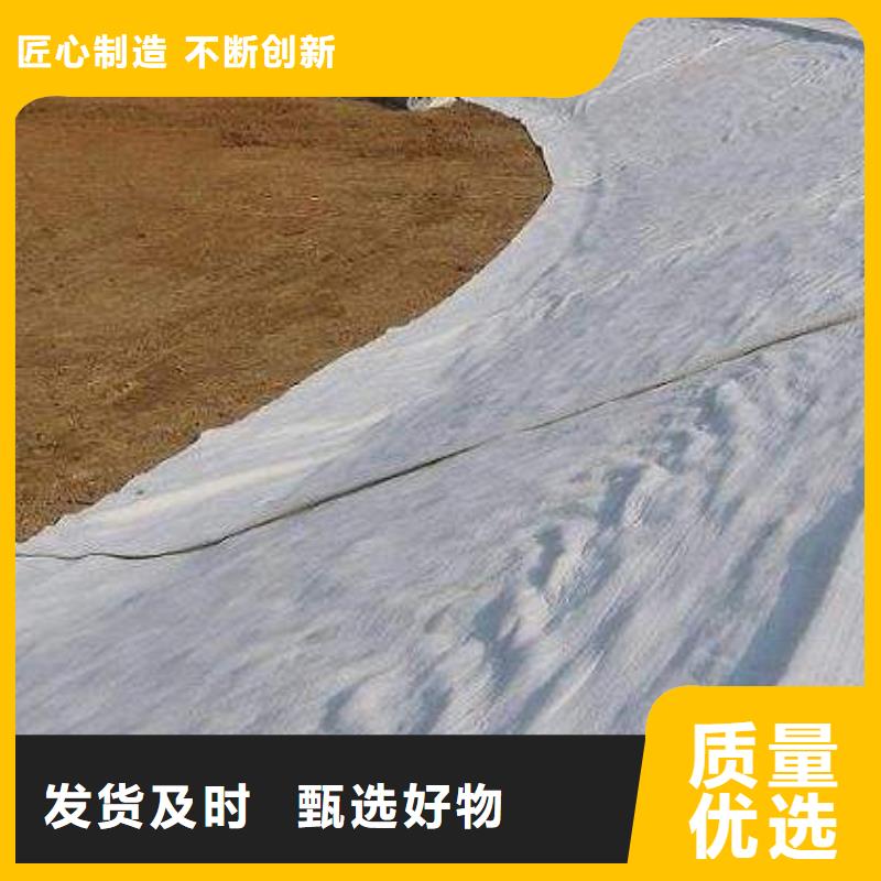 膨润土防水毯三维土工网垫真诚合作