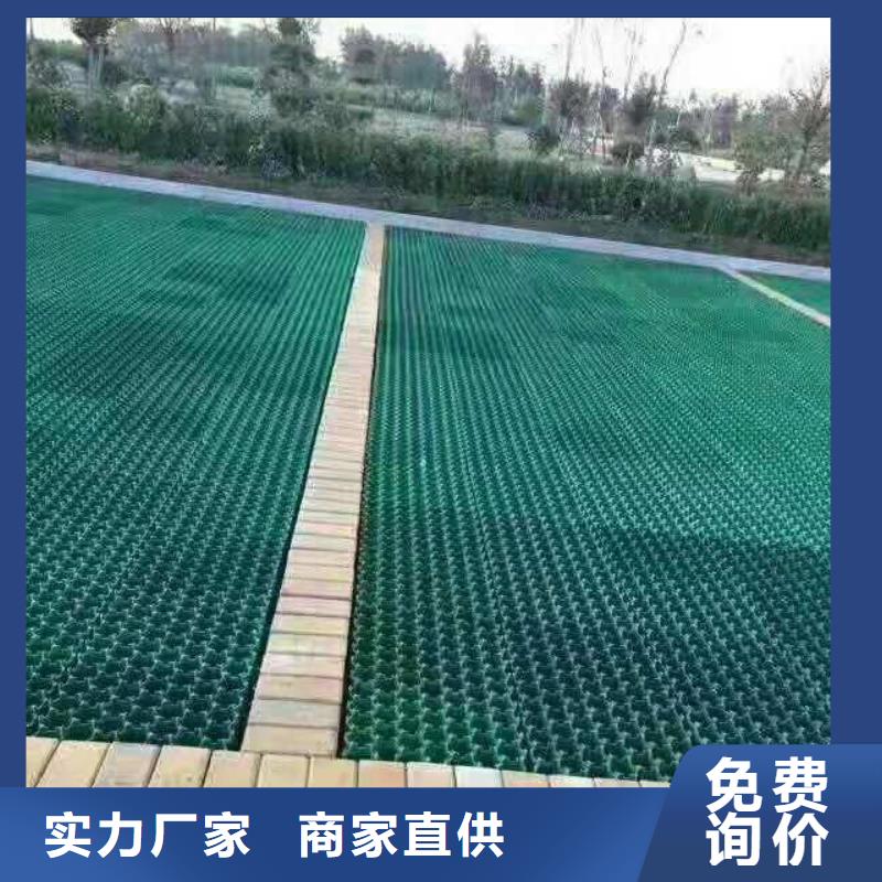 植草格土工席垫产品优势特点
