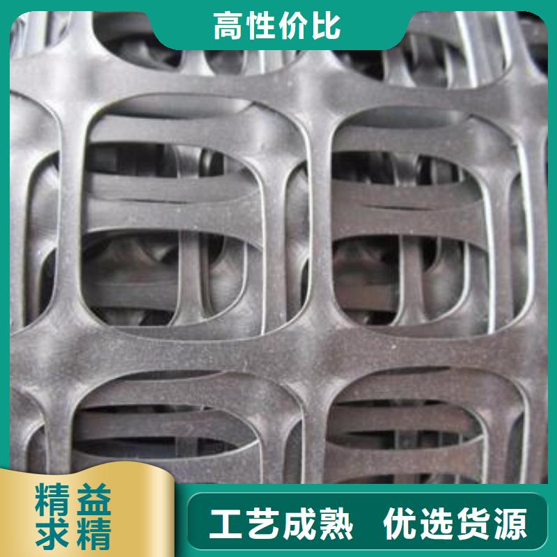 【塑料土工格栅】护坡土工网订制批发