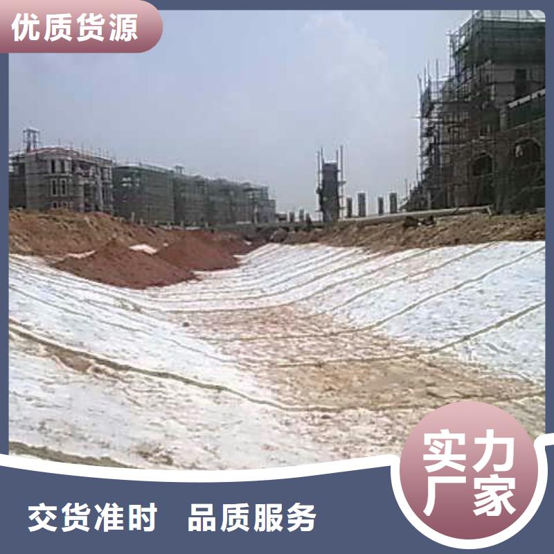 膨润土防水毯-塑料土工格栅专业按需定制