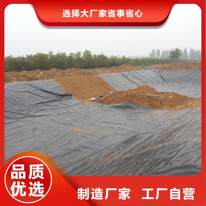 土工膜-透水土工布一个起售